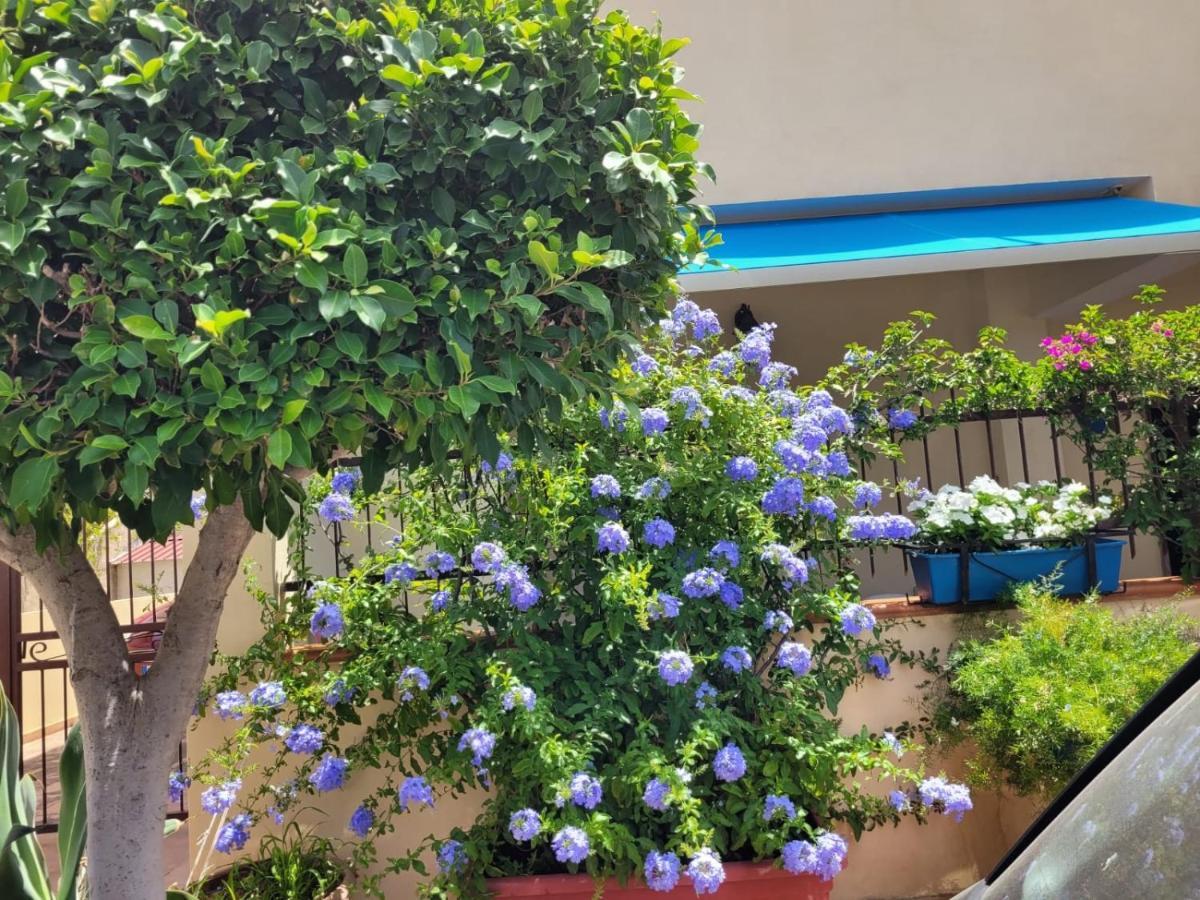 My Little House - Appartamento Con Patio E Parcheggio Privato A 5 Minuti Dalla Spiaggia E Dal Centro Tropea Exterior foto