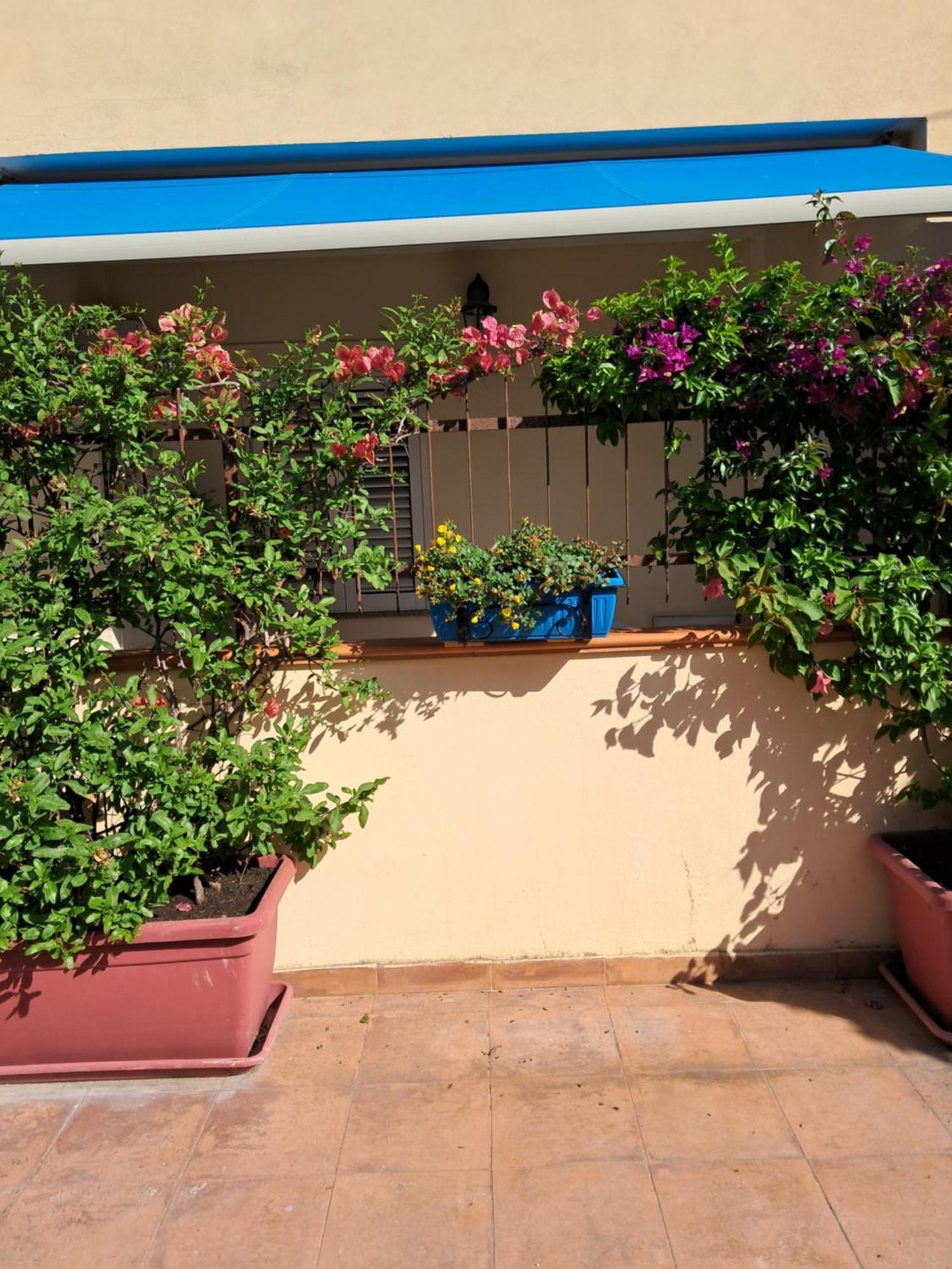 My Little House - Appartamento Con Patio E Parcheggio Privato A 5 Minuti Dalla Spiaggia E Dal Centro Tropea Exterior foto